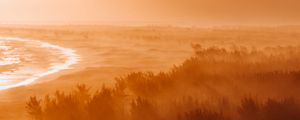 Preview wallpaper dawn, fog, sunlight, forest, shore, horizon