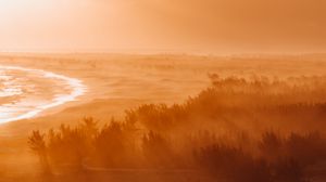 Preview wallpaper dawn, fog, sunlight, forest, shore, horizon