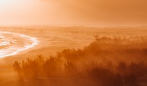 Preview wallpaper dawn, fog, sunlight, forest, shore, horizon