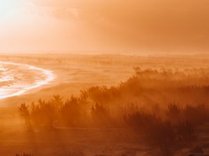 Preview wallpaper dawn, fog, sunlight, forest, shore, horizon
