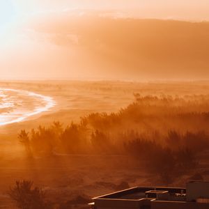 Preview wallpaper dawn, fog, sunlight, forest, shore, horizon