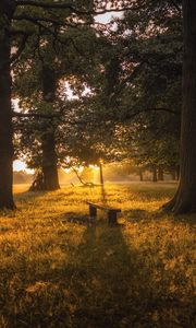 Preview wallpaper dawn, forest, bench, trees, grass