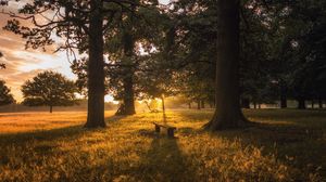 Preview wallpaper dawn, forest, bench, trees, grass