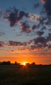 Preview wallpaper dawn, horizon, field, clouds, morning, grass, sky