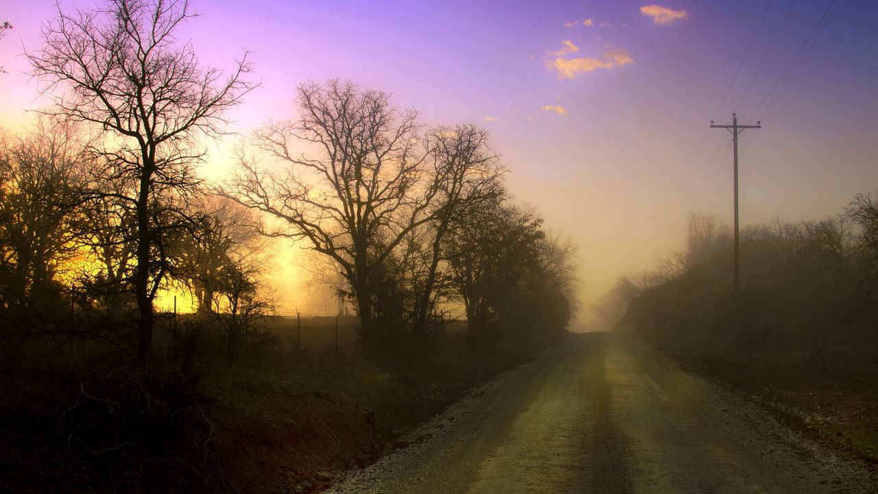 Wallpaper dawn, road, fog, trees, columns