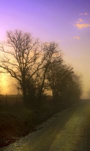 Preview wallpaper dawn, road, fog, trees, columns