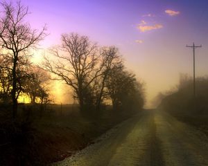 Preview wallpaper dawn, road, fog, trees, columns