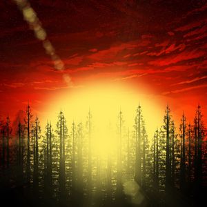 Preview wallpaper dawn, sun, glare, forest, art