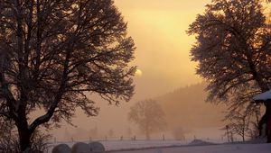 Preview wallpaper dawn, winter, sun, sky, gleam, morning, trees, snow, fog, frost, yard