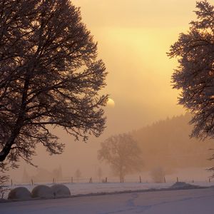 Preview wallpaper dawn, winter, sun, sky, gleam, morning, trees, snow, fog, frost, yard