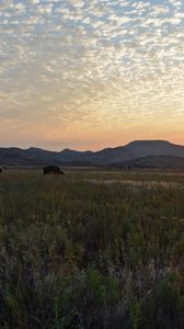 Preview wallpaper decline, clouds, peryevy, field, light, orange, pasture