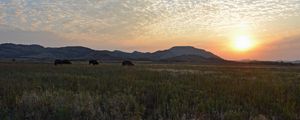 Preview wallpaper decline, clouds, peryevy, field, light, orange, pasture