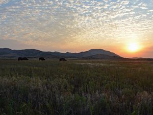 Preview wallpaper decline, clouds, peryevy, field, light, orange, pasture