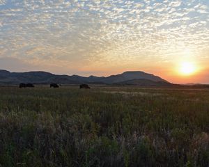 Preview wallpaper decline, clouds, peryevy, field, light, orange, pasture