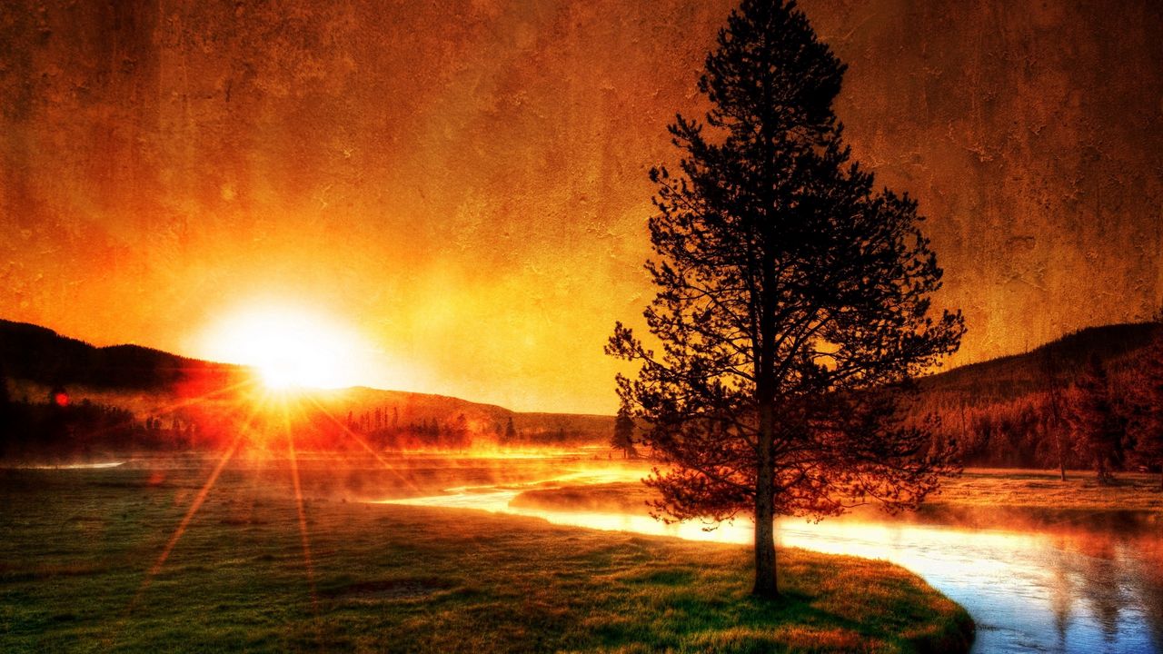 Wallpaper decline, evening, river, tree, sun, fog, beams