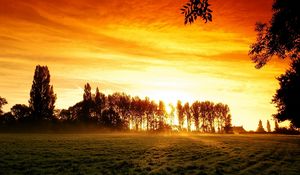 Preview wallpaper decline, field, trees, arable land, glow, orange, light, haze, steam