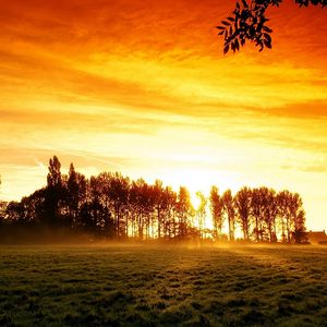 Preview wallpaper decline, field, trees, arable land, glow, orange, light, haze, steam