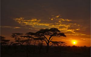 Preview wallpaper decline, orange, clouds, evening, trees, savanna