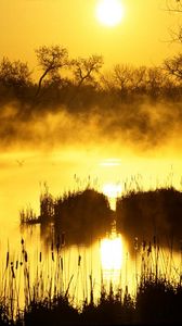 Preview wallpaper decline, orange, fog, canes, pond, evaporation