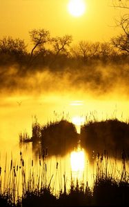 Preview wallpaper decline, orange, fog, canes, pond, evaporation