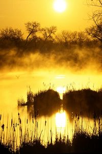 Preview wallpaper decline, orange, fog, canes, pond, evaporation