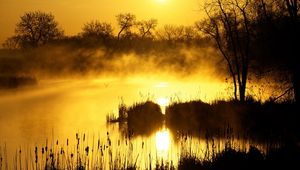 Preview wallpaper decline, orange, fog, canes, pond, evaporation