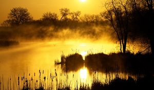 Preview wallpaper decline, orange, fog, canes, pond, evaporation