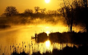 Preview wallpaper decline, orange, fog, canes, pond, evaporation