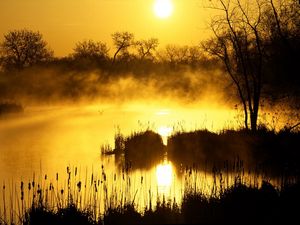 Preview wallpaper decline, orange, fog, canes, pond, evaporation