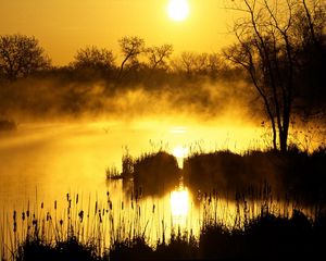 Preview wallpaper decline, orange, fog, canes, pond, evaporation