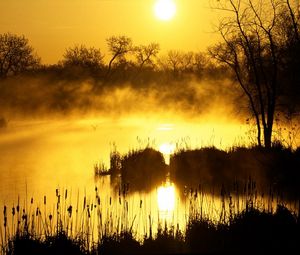 Preview wallpaper decline, orange, fog, canes, pond, evaporation