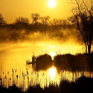 Preview wallpaper decline, orange, fog, canes, pond, evaporation