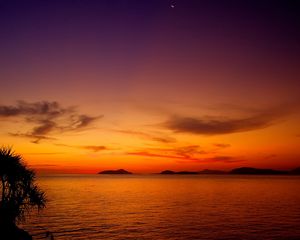 Preview wallpaper decline, orange, surface of the water, bushes, outlines, prickles