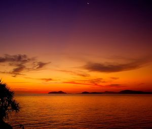 Preview wallpaper decline, orange, surface of the water, bushes, outlines, prickles