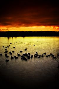 Preview wallpaper decline, sky, ducks, evening, lake