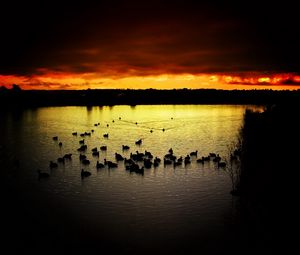 Preview wallpaper decline, sky, ducks, evening, lake