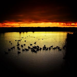 Preview wallpaper decline, sky, ducks, evening, lake