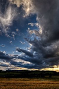 Preview wallpaper decline, sky, field, rye, evening, clouds