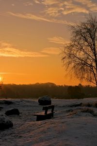 Preview wallpaper decline, sun, horizon, park, benches, birches