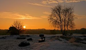 Preview wallpaper decline, sun, horizon, park, benches, birches