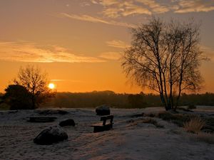 Preview wallpaper decline, sun, horizon, park, benches, birches