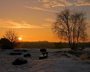 Preview wallpaper decline, sun, horizon, park, benches, birches