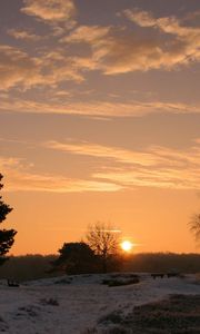 Preview wallpaper decline, sun, horizon, trees, field