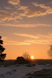 Preview wallpaper decline, sun, horizon, trees, field