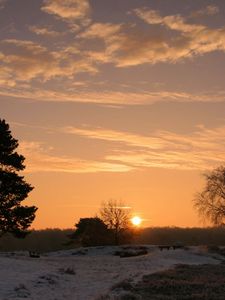 Preview wallpaper decline, sun, horizon, trees, field