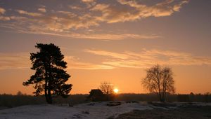 Preview wallpaper decline, sun, horizon, trees, field