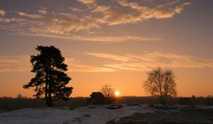 Preview wallpaper decline, sun, horizon, trees, field