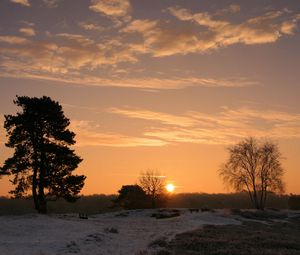 Preview wallpaper decline, sun, horizon, trees, field