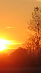 Preview wallpaper decline, sun, light, evening, tree, branches, horizon, orange