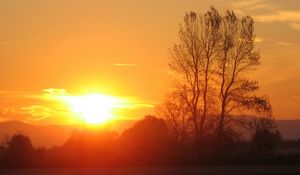 Preview wallpaper decline, sun, light, evening, tree, branches, horizon, orange